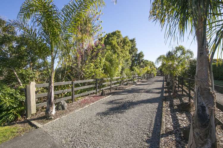 10 Buttercup Place Waimauku_2