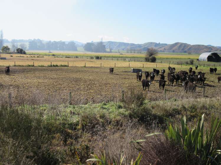 51 Walker Road Otane_8