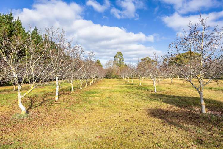 138 Harrs Road Swannanoa_26