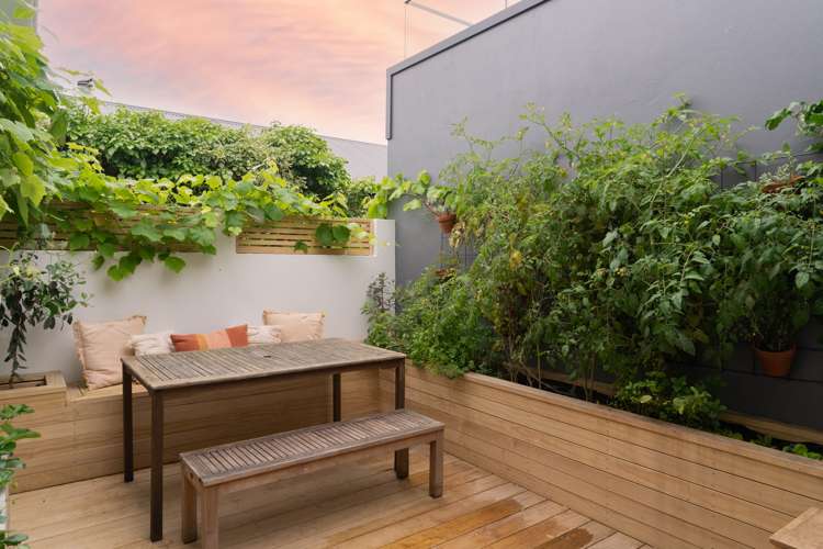 21 Clark Street Allenton_19