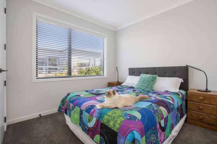 7 Uretara Drive Katikati_17