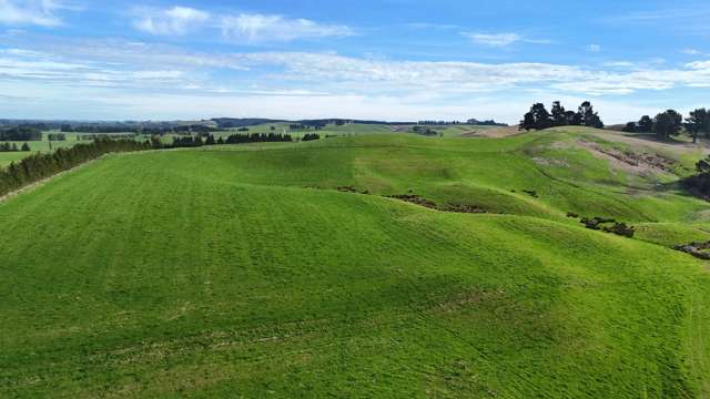 Glendhu Road Mataura_4