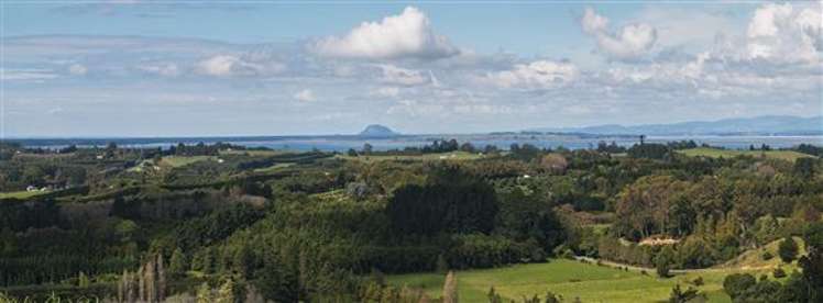 80d Mcmillan Road Hauraki Surrounds_7