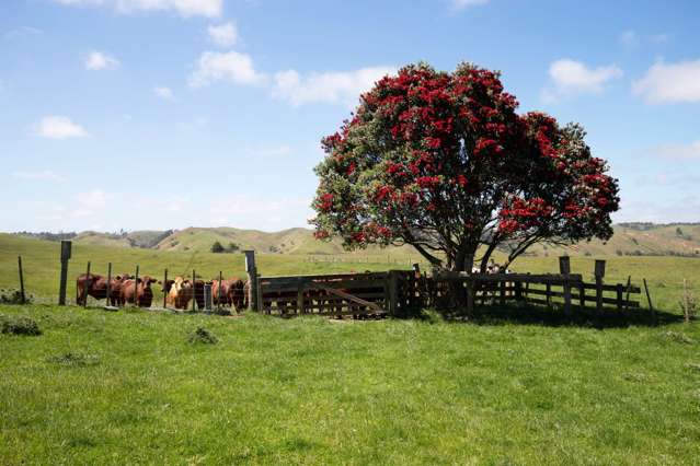 2702 Wairamarama Onewhero Road Glen Murray_2