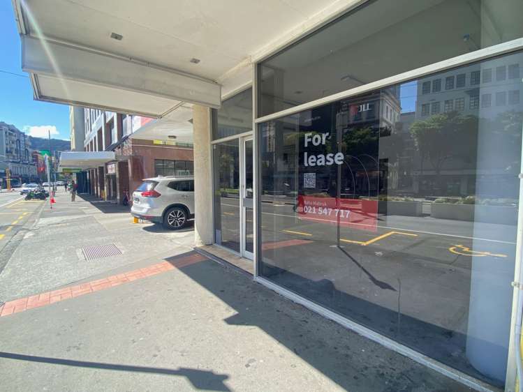 25 Dixon Street Te Aro_1