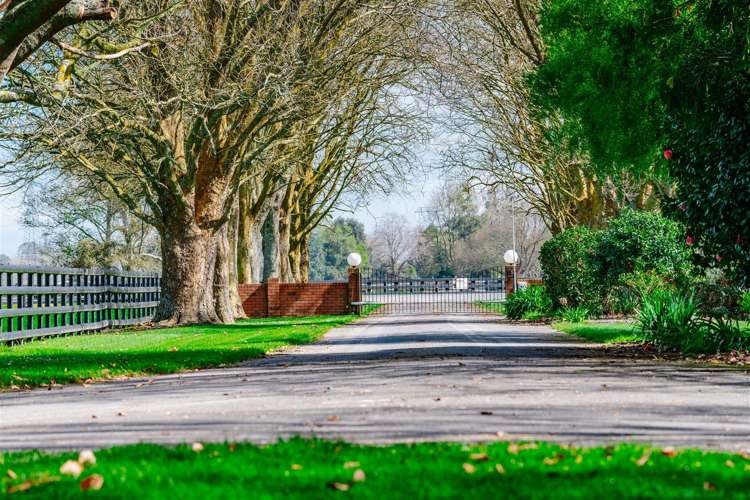 122 Rotoorangi Road Cambridge_6