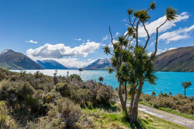 Telegraph Road Darfield_22