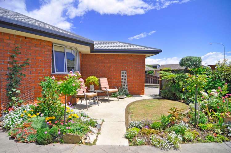 8 Musgrave Crescent Tahunanui_5