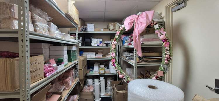 11 Leslie Hills Drive Riccarton_8