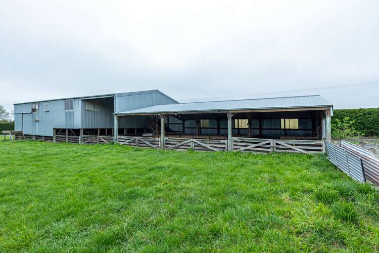 876 Rolling Ridges Road Levels Valley_9