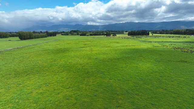 Tidsbury - A Fertile 45 Hectares