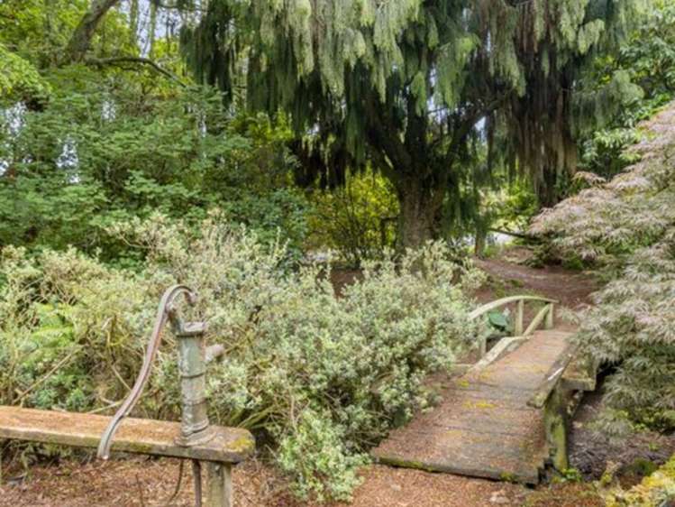 488 Tapuwae Road Benneydale_10