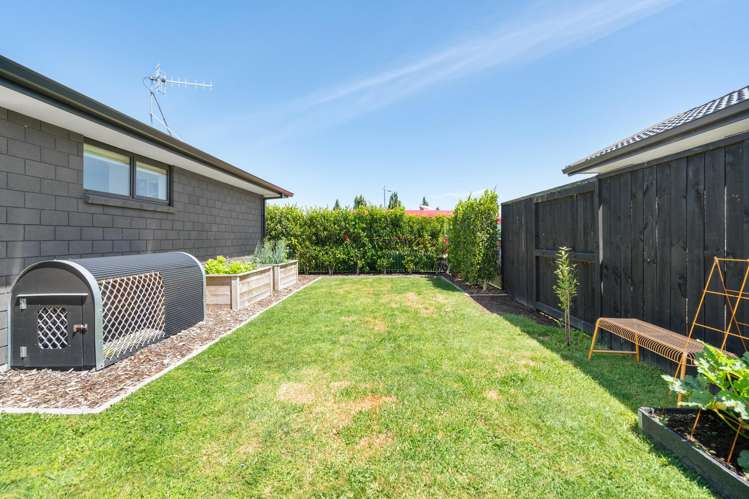 1 Fetlock Way Papamoa_17