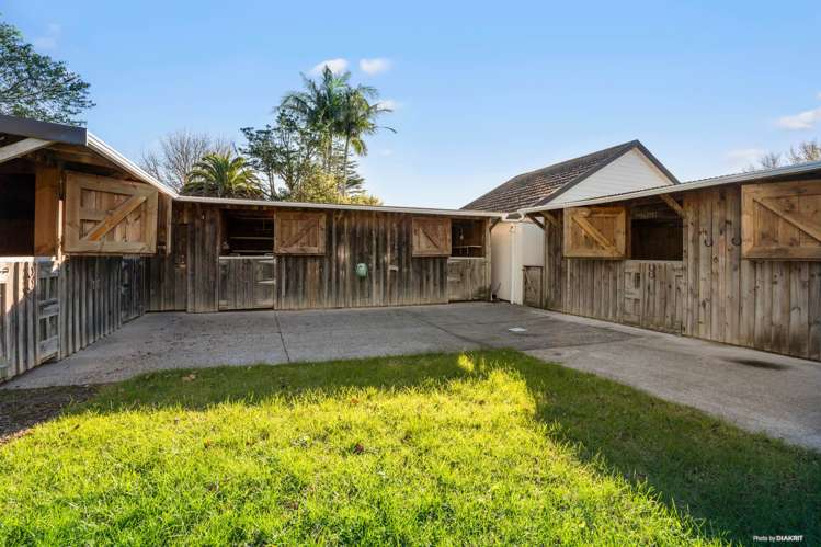 61 Potts Road Whitford_8