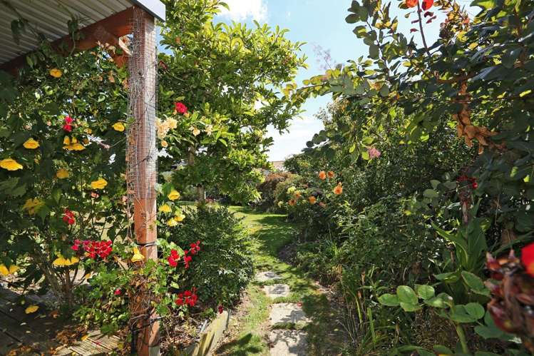 22 Palmbrook Avenue Havelock North_19