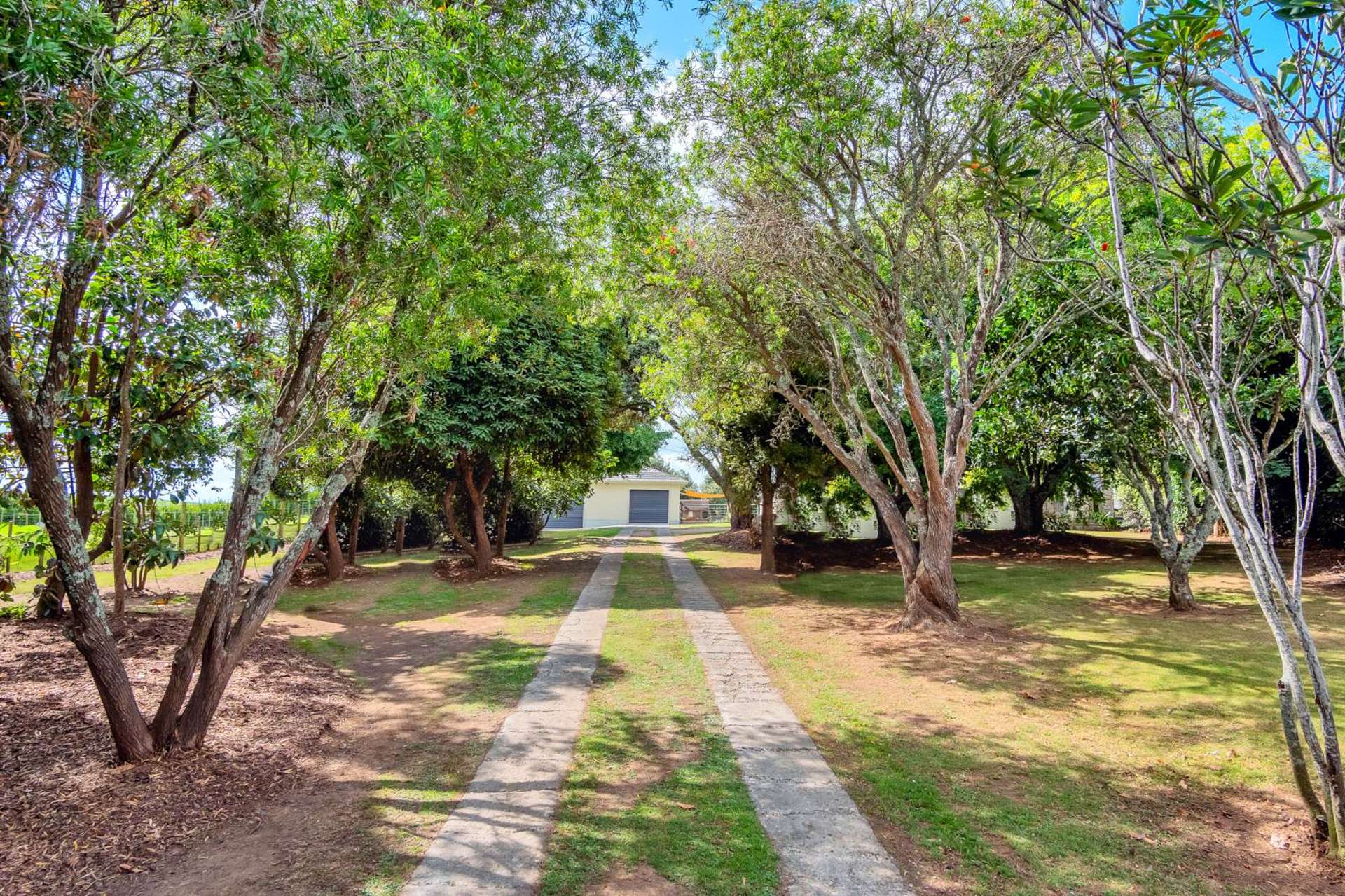 494 Fordyce Road Helensville_0