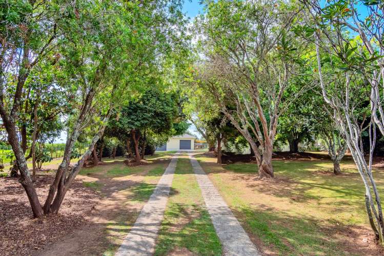 494 Fordyce Road Helensville_0