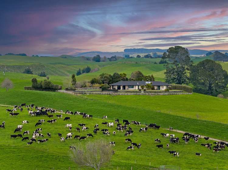 2085a-B Old Taupo Road Putaruru_0