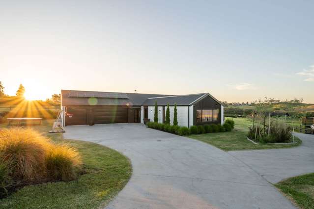 69 Vineyard Road Te Kauwhata_1