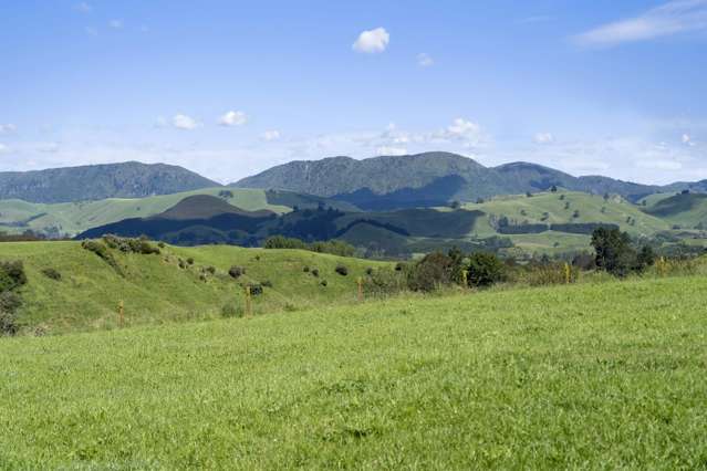 409B Poutakataka Road Ngakuru_3