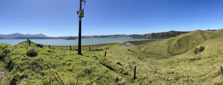 Brindle Road Whirinaki_23