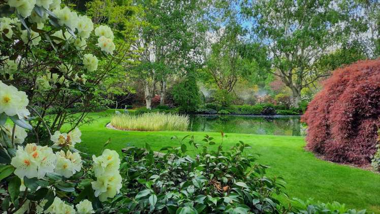 371 Racecourse Road Allenton_30