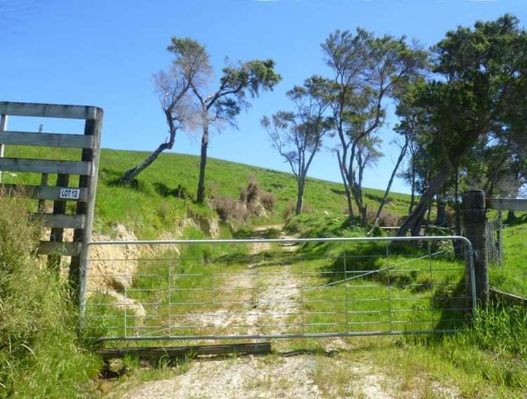 115 Chester Park Road Carterton_5