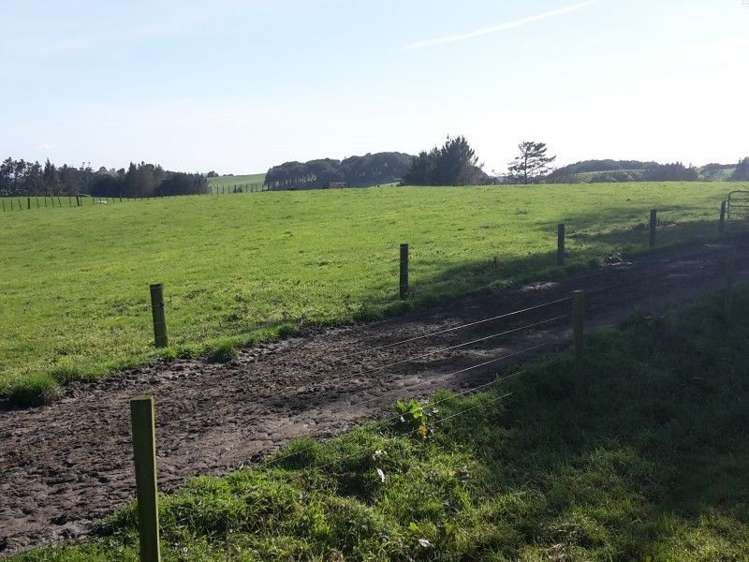 346 Rugby Road Tariki_40