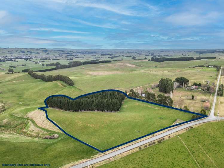 22 Paterson Road Waimumu_7