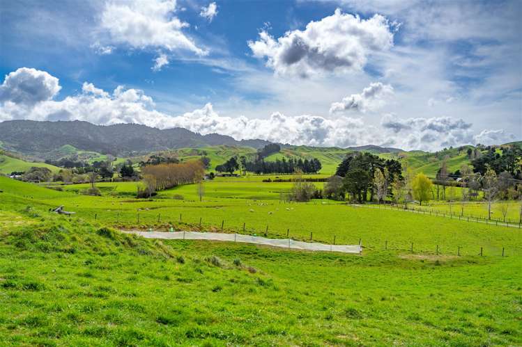 301 South Road Mauriceville_26