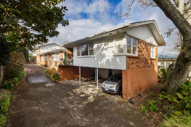 8A - 8E Fairleigh Avenue Mount Albert_2