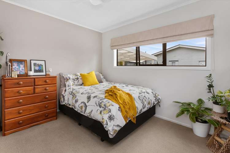379 Thames Street Morrinsville_13