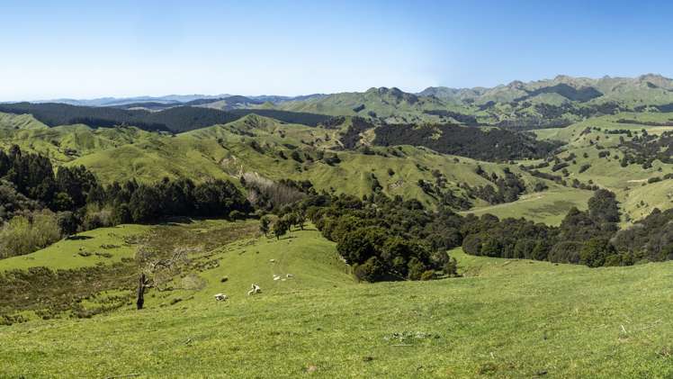 461 Admiral Station Road Gladstone_16