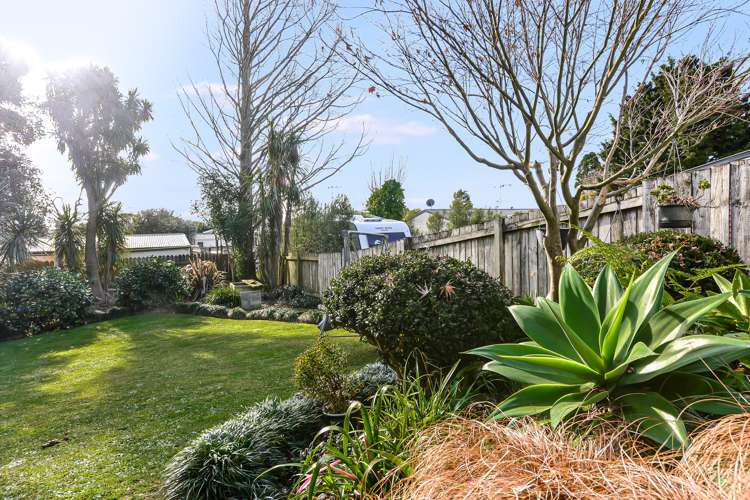 148 Grandview Road Nawton_13