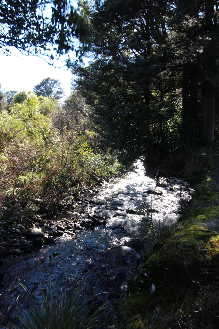 142 Mangawhero Terrace Ohakune_19