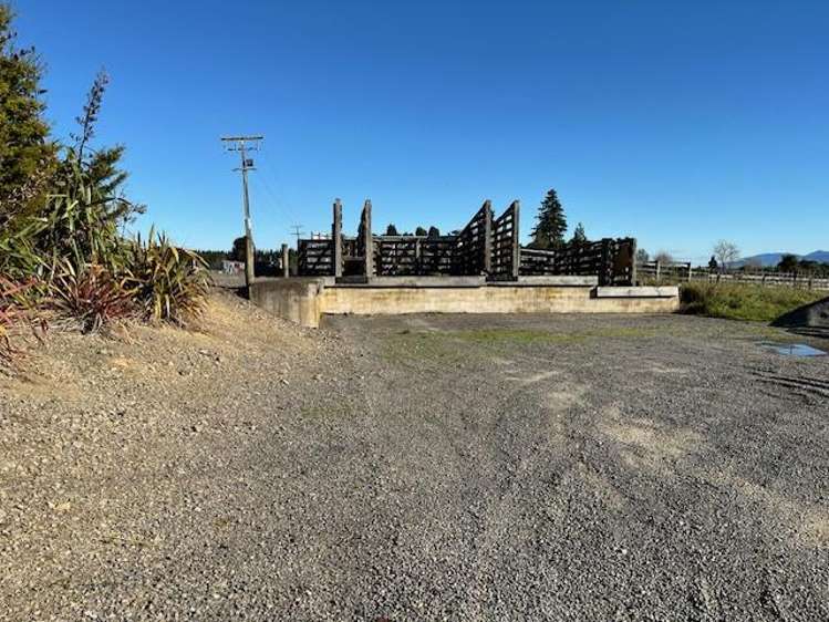 34 School Road Dannevirke_14