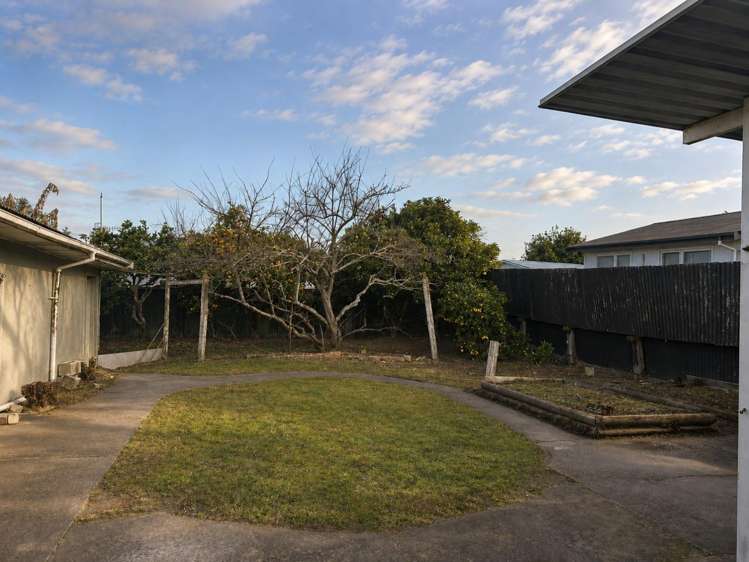 328 Kennedy Road Onekawa_15