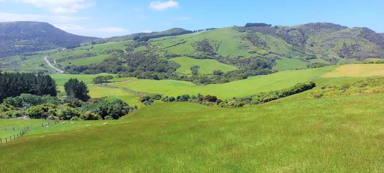 1777 Papatowai Highway Papatowai/Pounawea_13