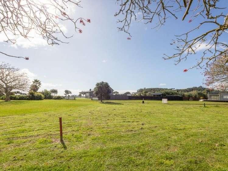 16 Flame Tree Lane Taipa_13