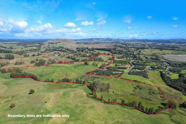 Two homes on 26ha of some of Northlands best soil