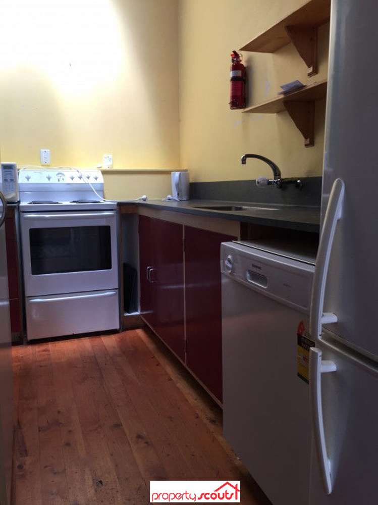 153b Forth Street North Dunedin_7