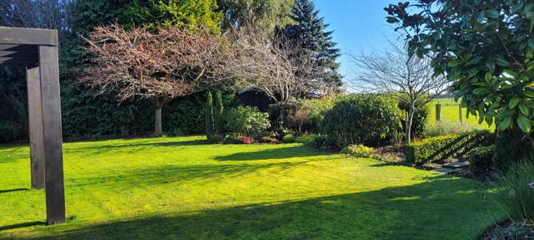 67 Roslyn Road Roslyn Bush_9