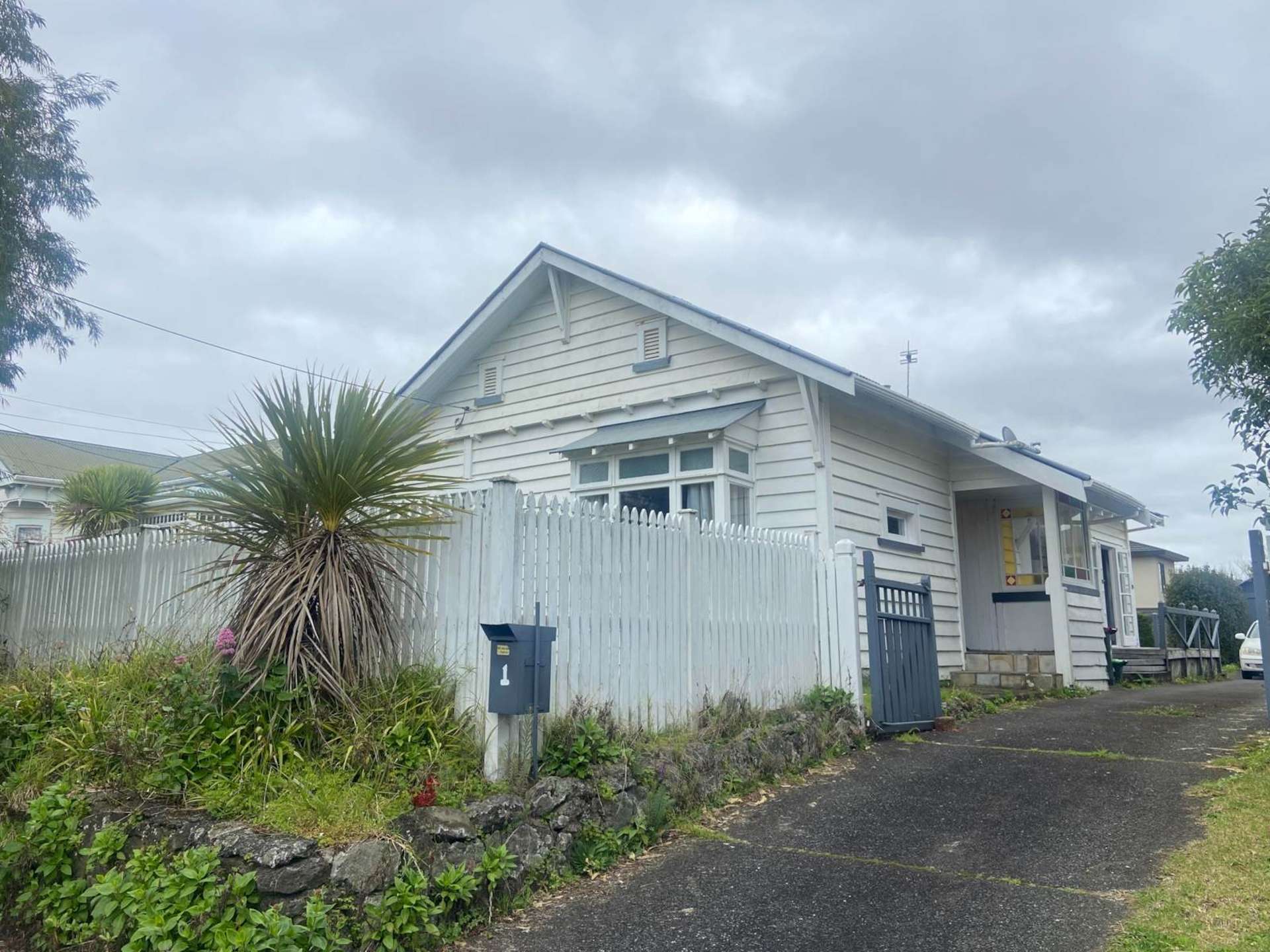 1 Pine Street Mount Eden_0