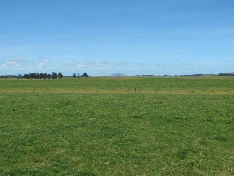 2/795 Tuhikaramea Road Ngahinapouri_5