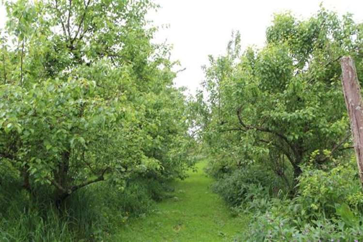 42 Waihou Road Levin_18