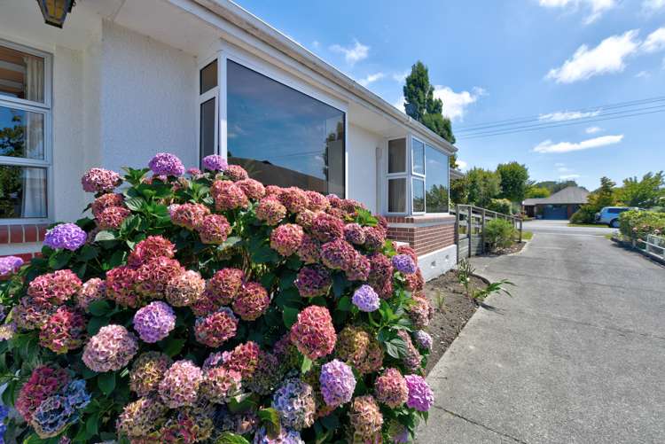 12 William Street Gore_18