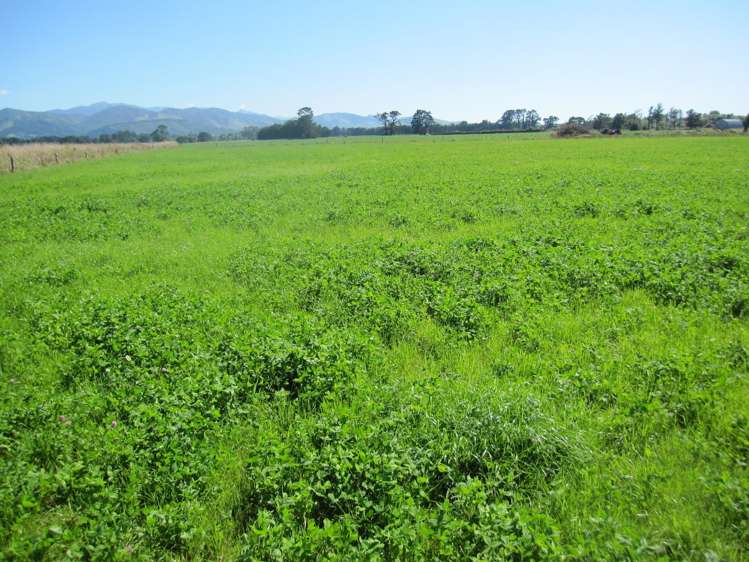 44 Matarawa Road Carterton_15