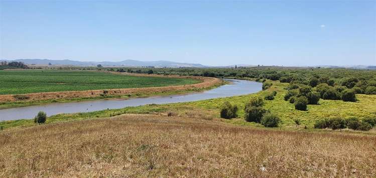 218 Island Block Road Te Kauwhata_15