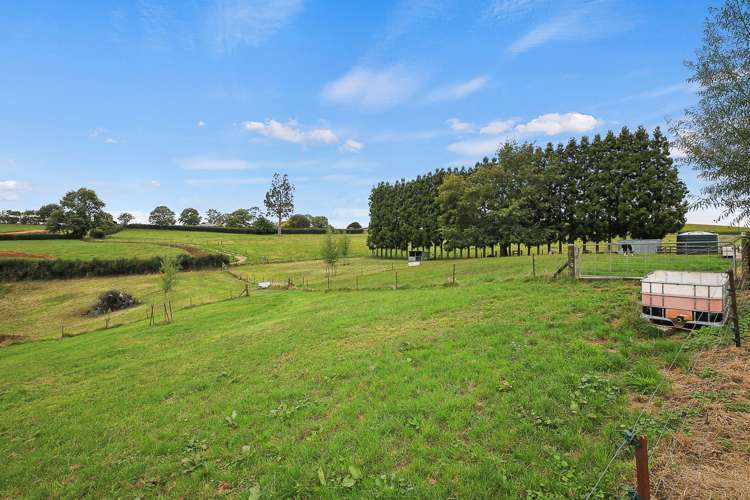 320 Bell Road Pirongia_25