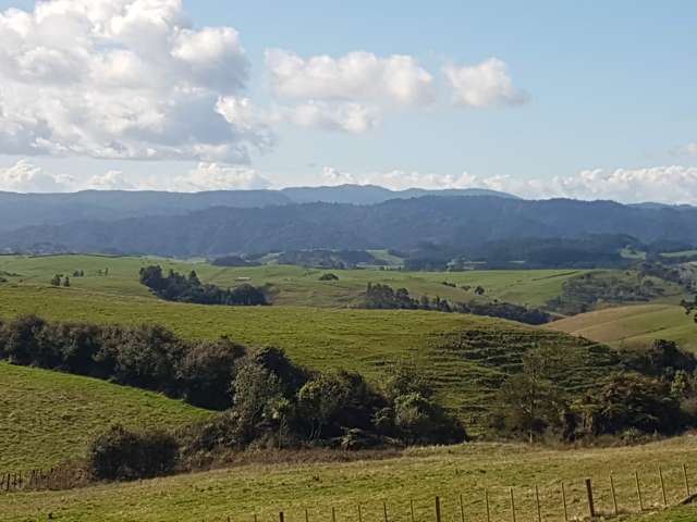 Lot 1/1739 Ponga Road Hunua_1